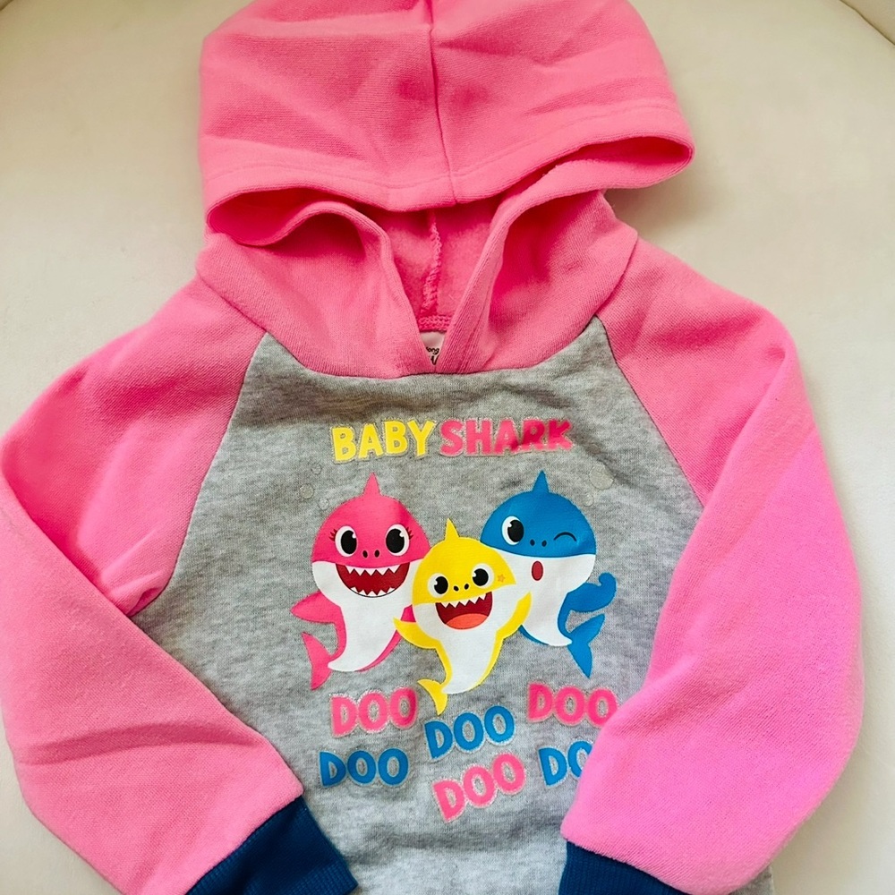 Pink and Gray Kids Hoodie